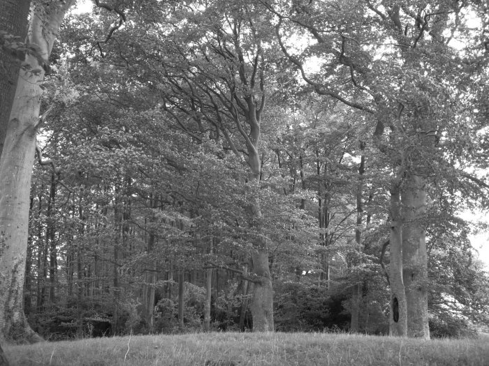 Old King Barrows