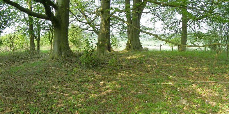 Buxbury Hill