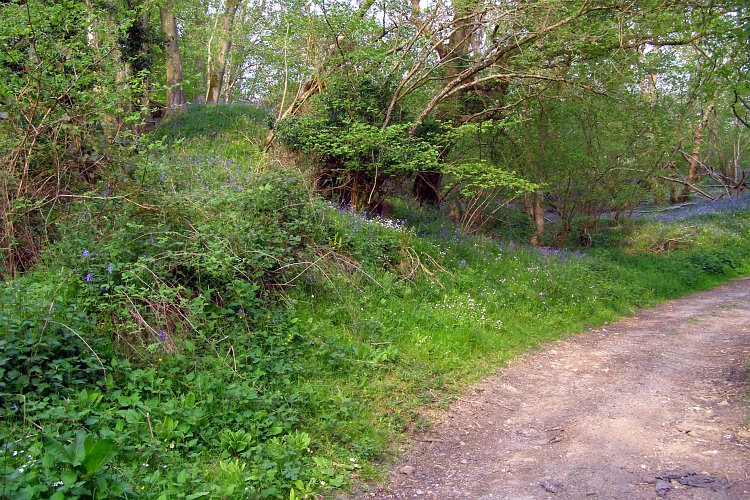 Click for full size image of Castle Ditches (Wiltshire) (PID:29793) Castle Ditches (Wiltshire)