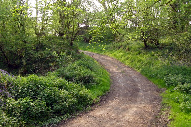 Click for full size image of Castle Ditches (Wiltshire) (PID:29795) Castle Ditches (Wiltshire)
