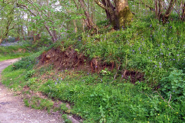 Click for full size image of Castle Ditches (Wiltshire) (PID:29796) Castle Ditches (Wiltshire)