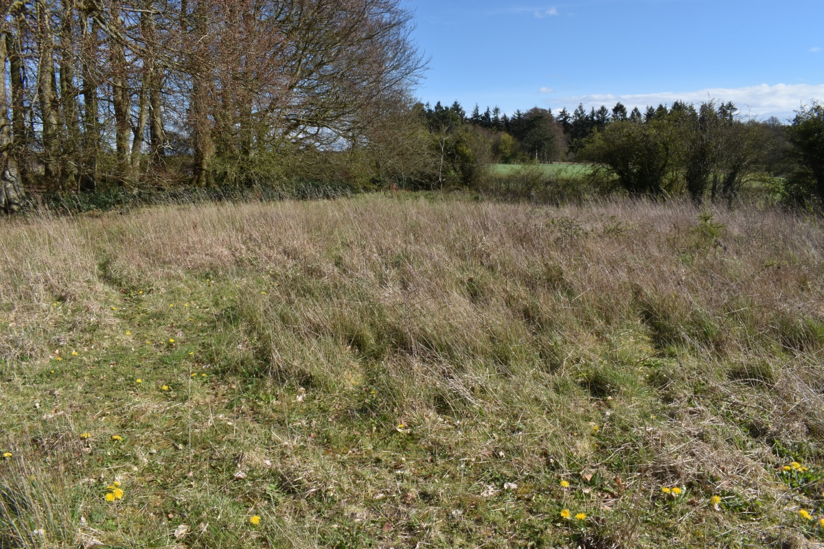 Click for the gallery page to add comments and vote (PID:303436) Oxenwood Long Barrow