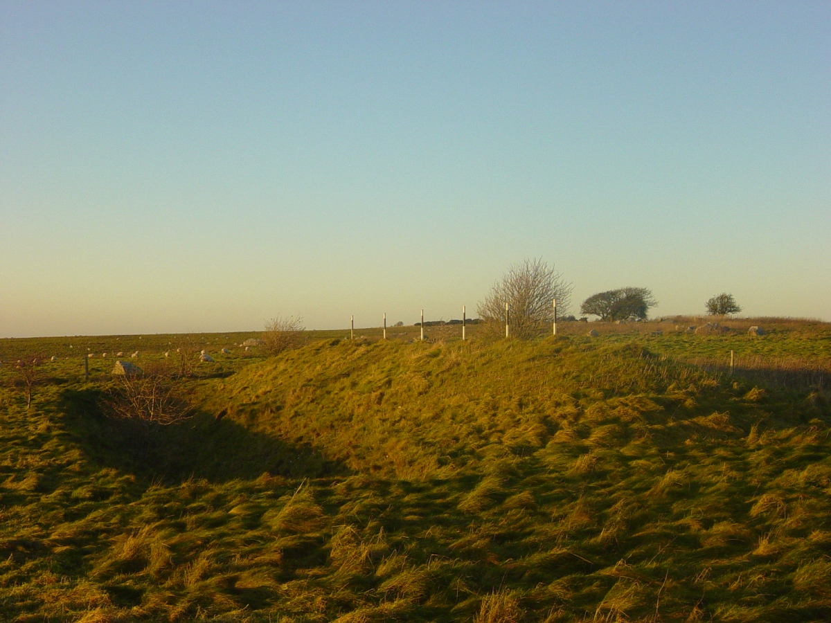 Overton Down Experimental Earthwork
