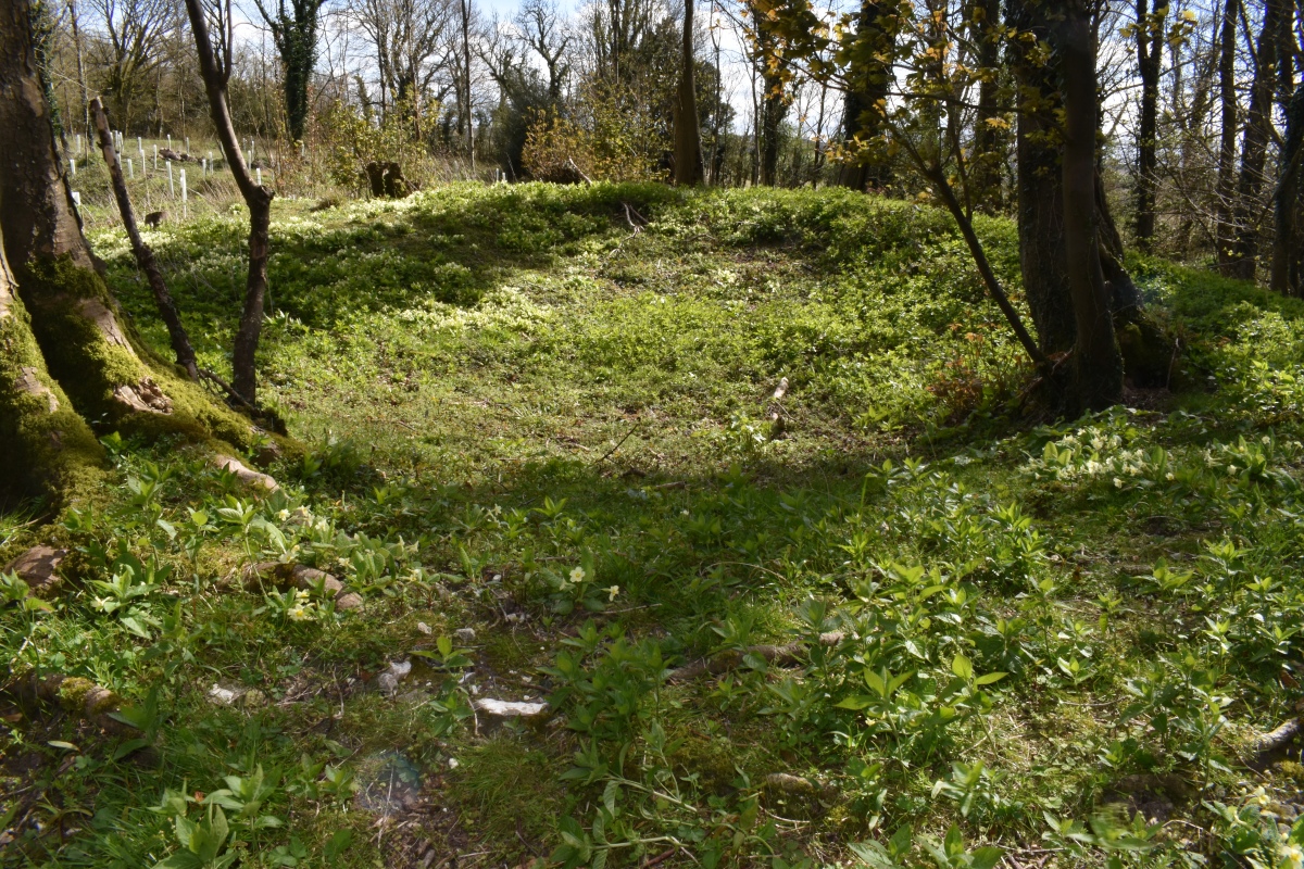 Click for the gallery page to add comments and vote (PID:303316) Botley Hill Long Barrow