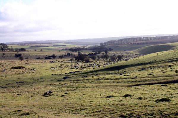Click for the gallery page to add comments and vote (PID:11249) Fyfield Down