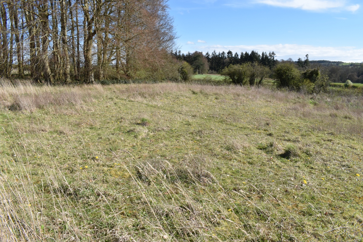 Oxenwood Long Barrow