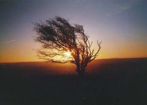 Click for the gallery page to add comments and vote (PID:105358) Knap Hill