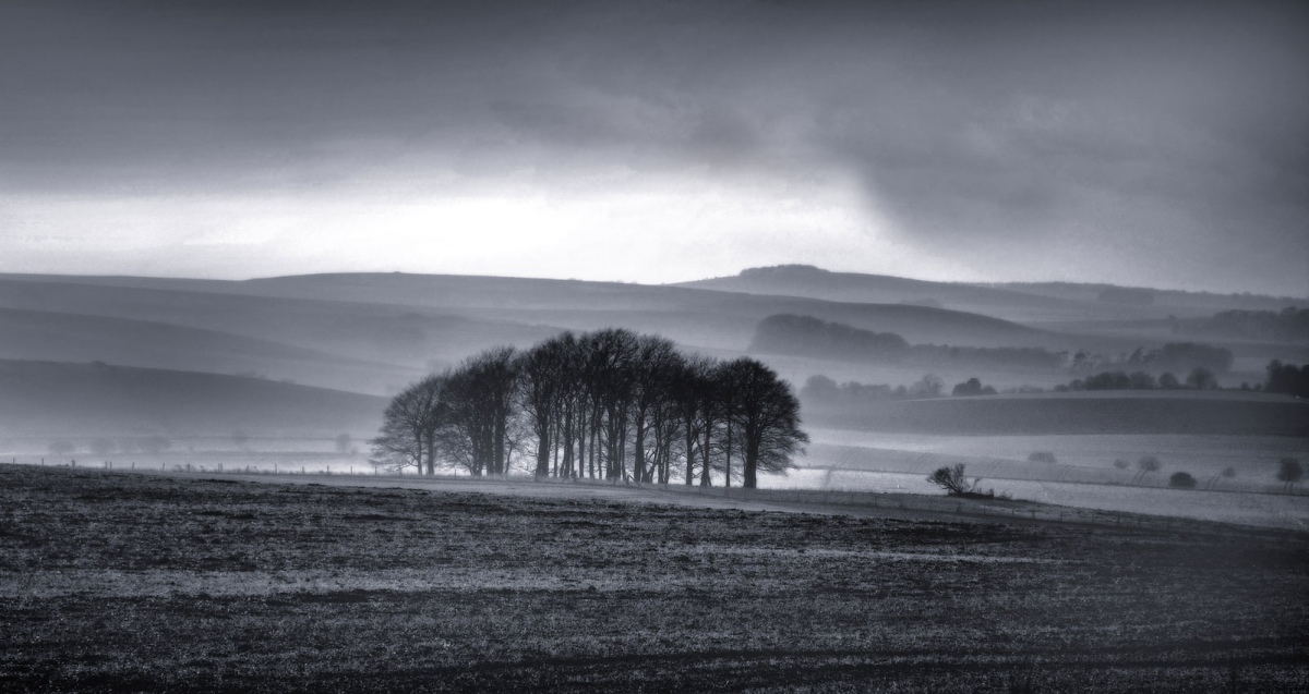 Click for the gallery page to add comments and vote (PID:230093) Avebury Down barrow cemetery