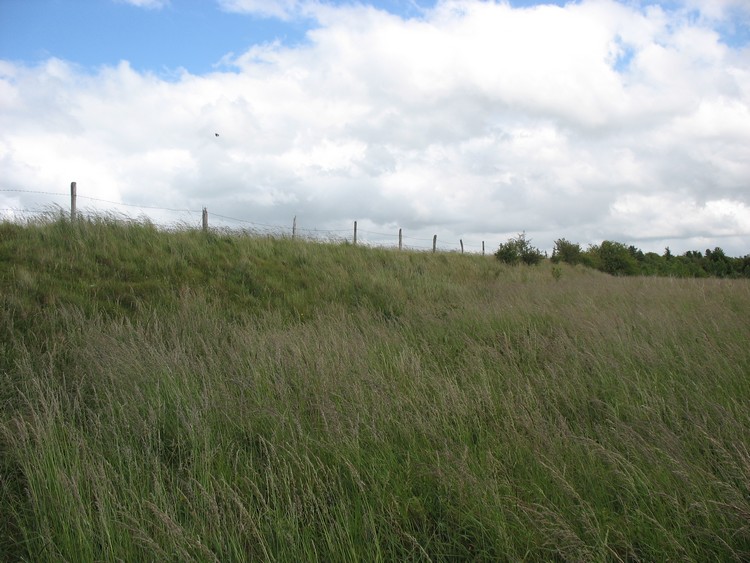 Ogbury Camp
