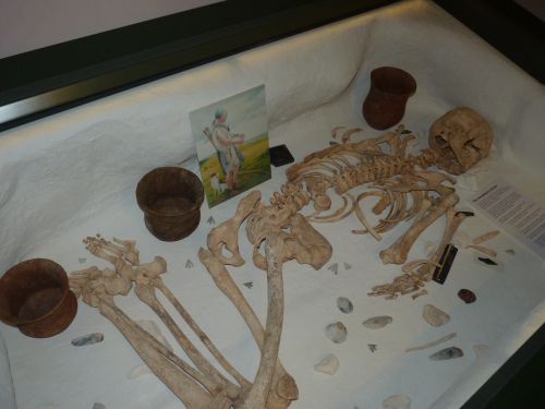 Click for full size image of Salisbury and South Wiltshire Museum (PID:84933) Salisbury and South Wiltshire Museum