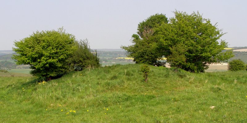Sutton Down long barrow