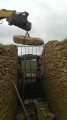 All Cannings - PID:118074