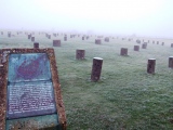 Woodhenge (Wiltshire)