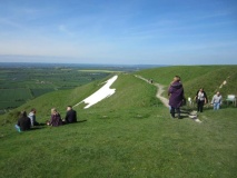 Westbury White Horse