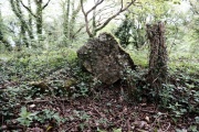 Conkwell stone circle - PID:196770