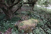 Conkwell stone circle - PID:196772