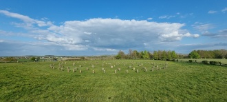 Woodhenge (Wiltshire)