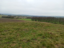 Monkton Down N