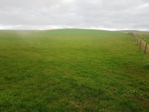 Down Barn Tumuli