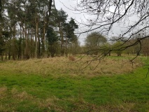 Rockley Plantation Barrows
