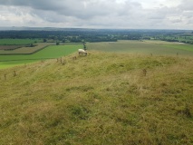 Gopher Wood Barrows