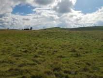 New Town Tumuli
