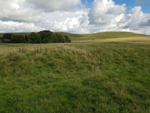 New Town Tumuli