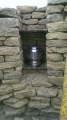 All Cannings - PID:118075