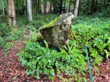 Tisbury Circle - PID:262007