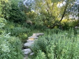 Swallowhead Spring - PID:249301