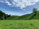 Bincknoll Castle - PID:212926