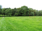 Broad Well (Alton Priors) - PID:169312