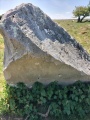 Fyfield Down - PID:289694