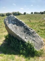 Fyfield Down - PID:289693