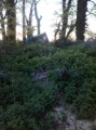 Watergate Long Barrow - PID:89227