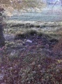 Watergate Long Barrow - PID:89226