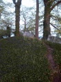 Watergate Long Barrow - PID:89223