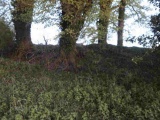 Watergate Long Barrow - PID:89222