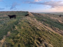 Oldbury Castle