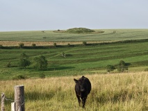 Enford Bowl Barrow