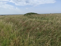 Casterley Camp