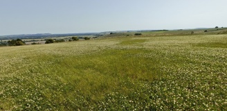 Broadbury Banks
