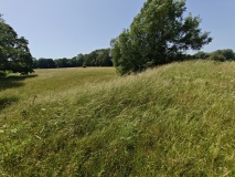 Marden Henge