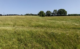Marden Henge