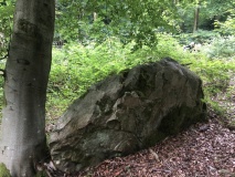 West Woods (Hursley Bottom) Standing Stone