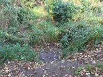 Mother Anthony's Well