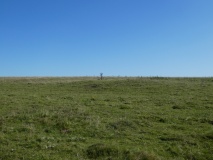 Overton Down Barrow