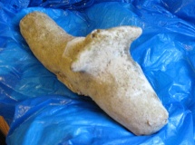 Great Cursus Barrows, Stonehenge