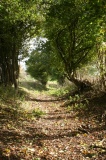 Ringsbury Camp