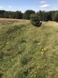 Tidcombe Long Barrow - PID:307011